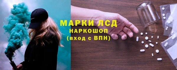 ПСИЛОЦИБИНОВЫЕ ГРИБЫ Михайлов