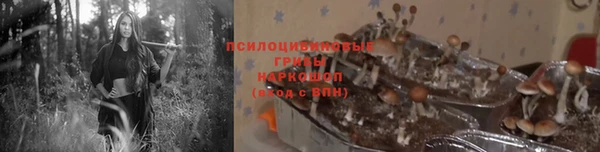ПСИЛОЦИБИНОВЫЕ ГРИБЫ Балахна