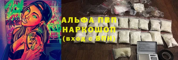 эйфоретик Баксан